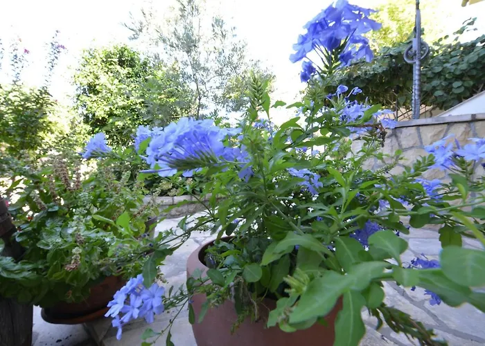 Apartment Marija *