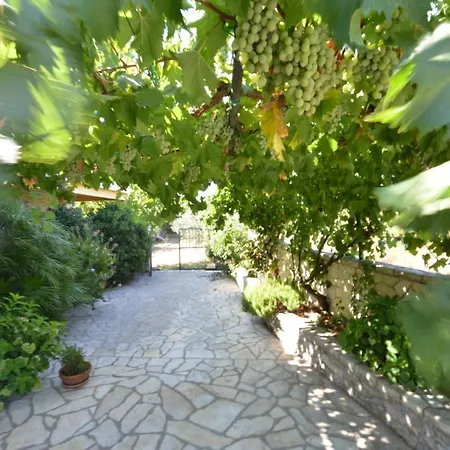 Marija * פוסדריה