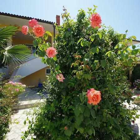 Apartment Marija