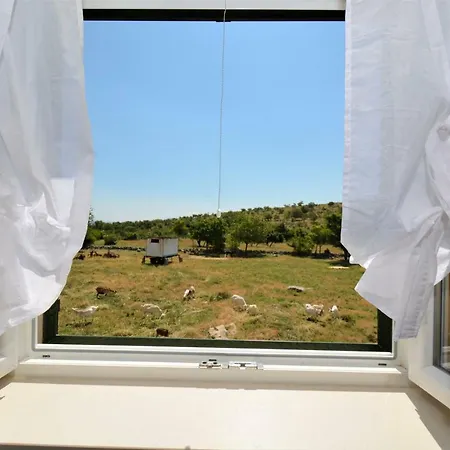 Marija * פוסדריה