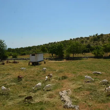 Marija פוסדריה