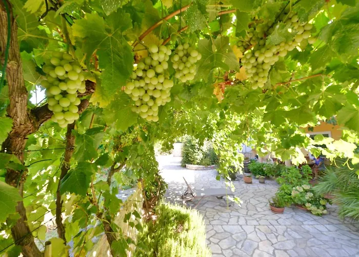 Marija Апартаменты Поседарье