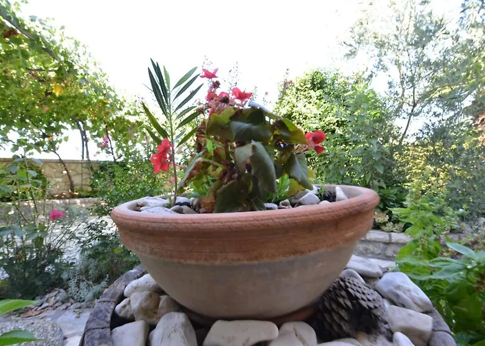 Marija Поседарье