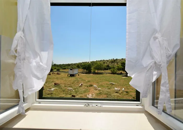 Marija * Поседарье