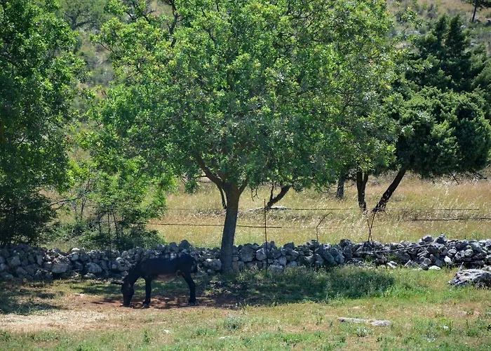 Marija Поседарье