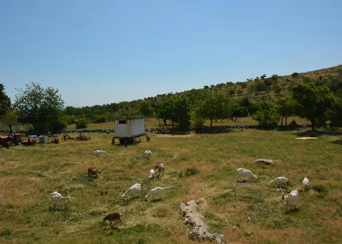 Marija פוסדריה